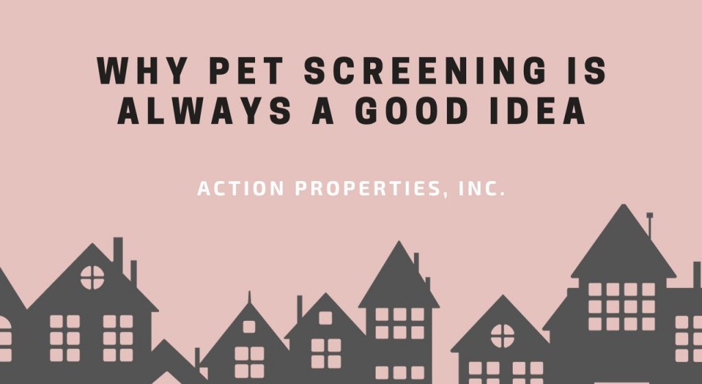 Why Pet Screening Is Always a Good Idea